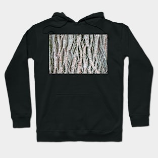 Tree bark background Hoodie